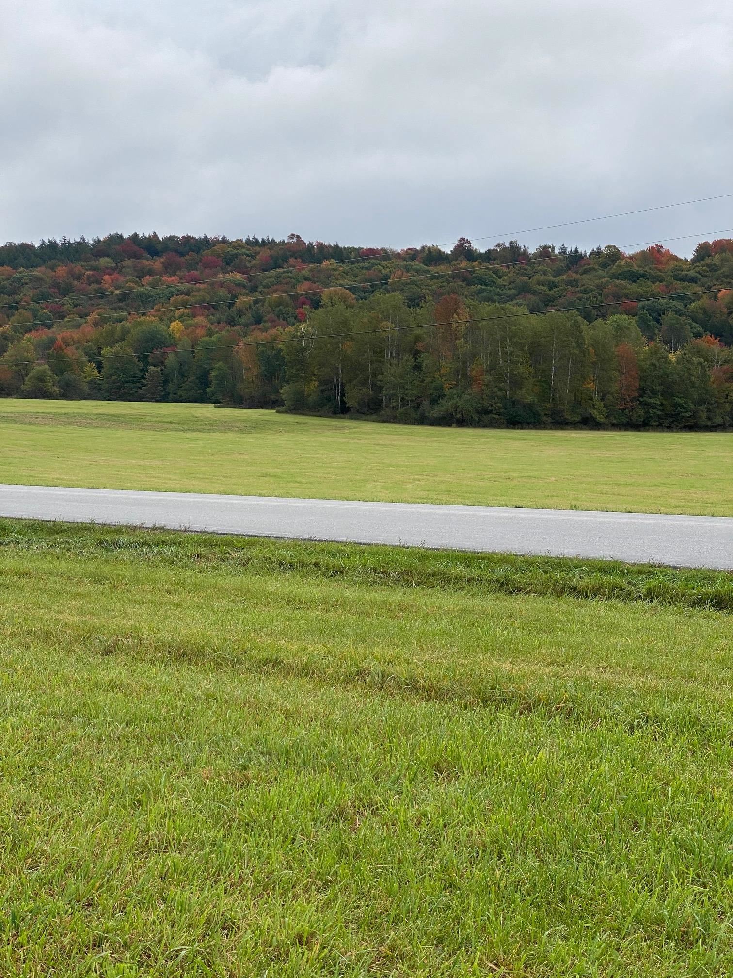 Lot 1 Sheldon Woods Road Sheldon, VT 05483 - Photo 13 of 15