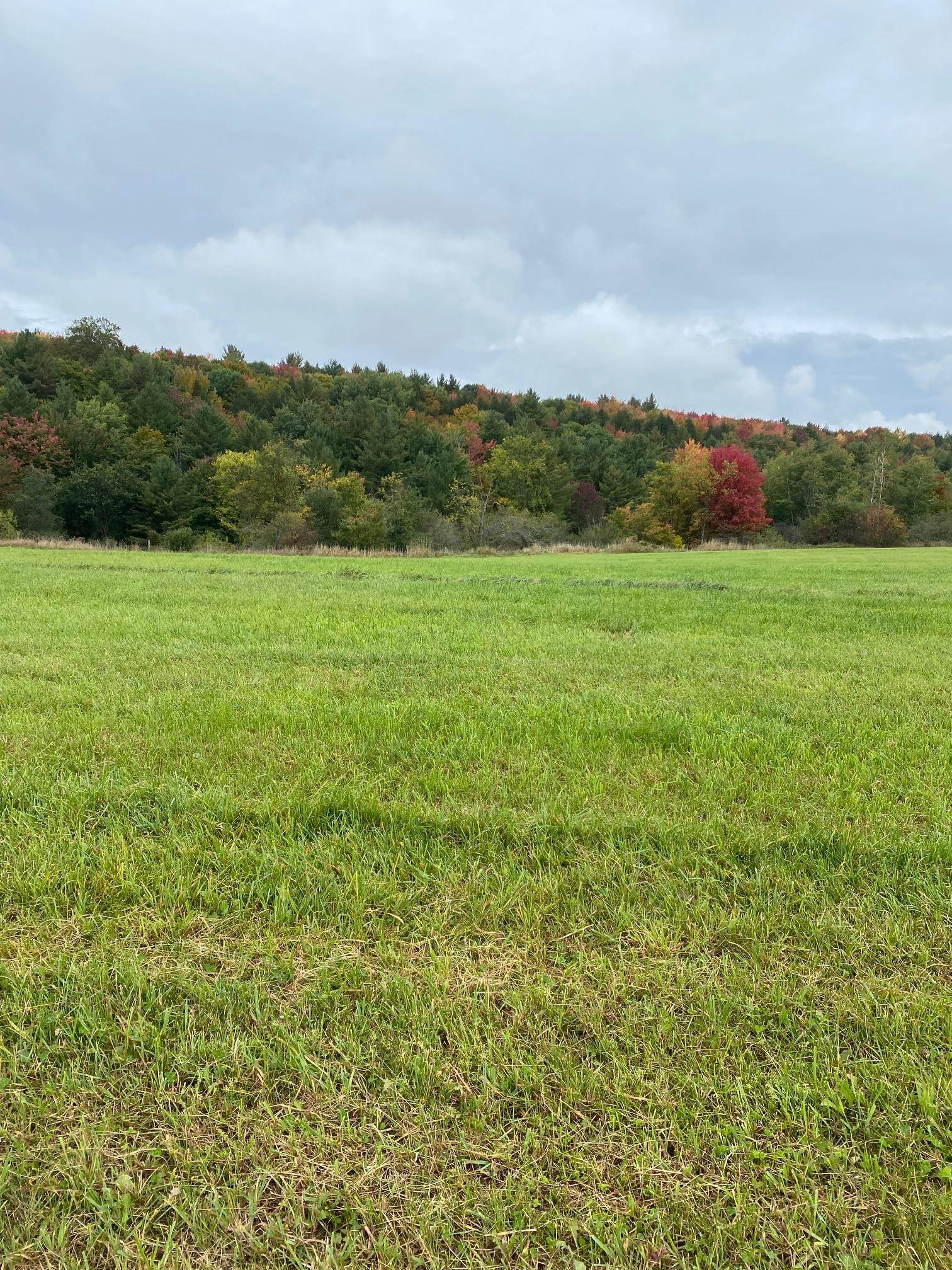 Lot 1 Sheldon Woods Road Sheldon, VT 05483 - Photo 3 of 15