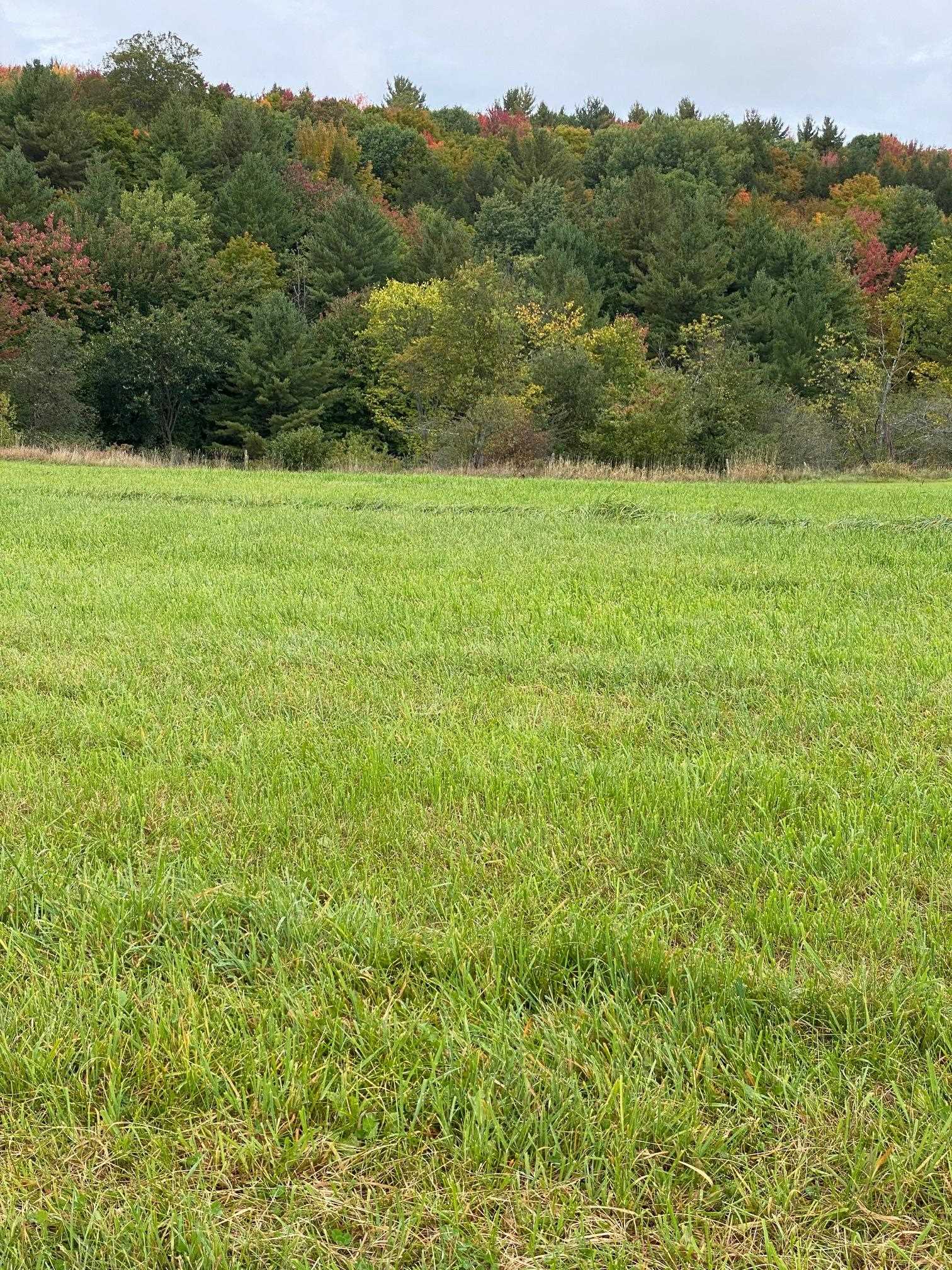 Lot 1 Sheldon Woods Road Sheldon, VT 05483 - Photo 4 of 15