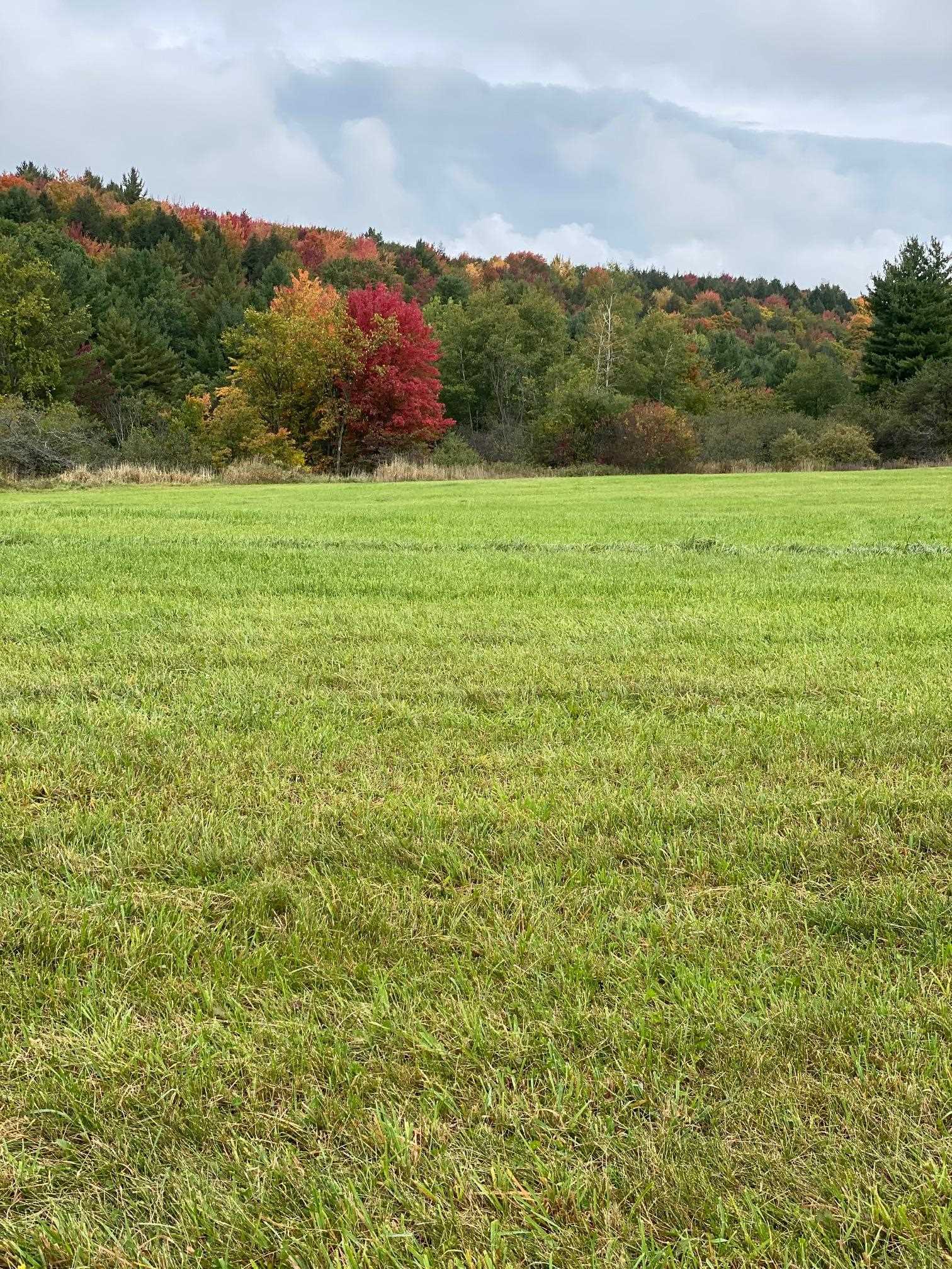 Lot 1 Sheldon Woods Road Sheldon, VT 05483 - Photo 5 of 15