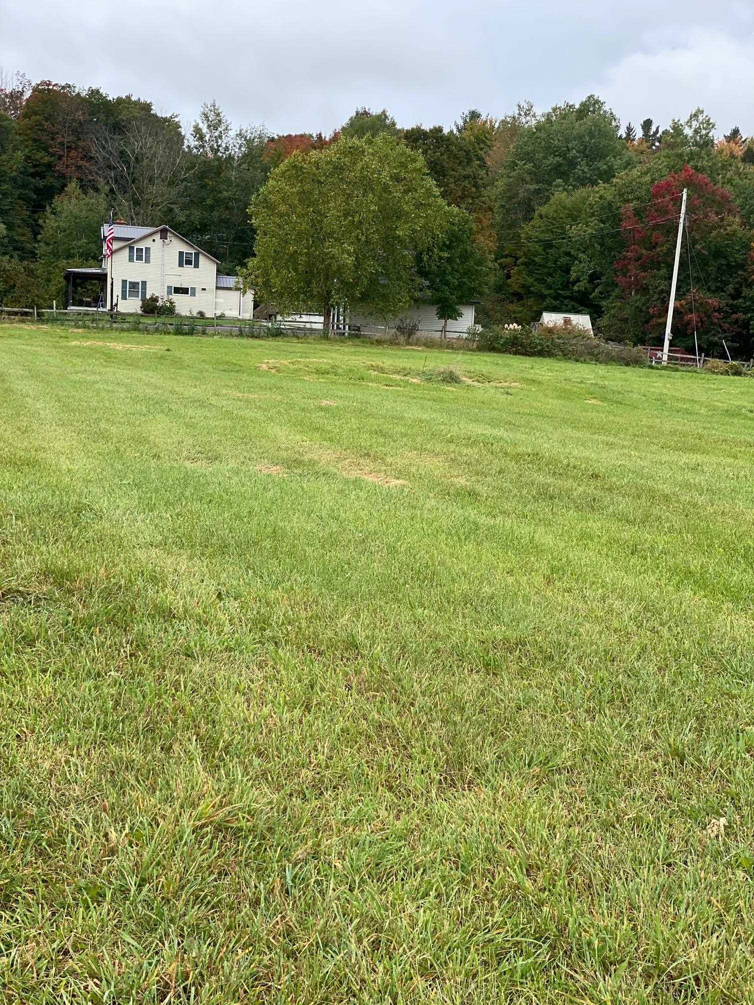 Lot 1 Sheldon Woods Road Sheldon, VT 05483 - Photo 6 of 15