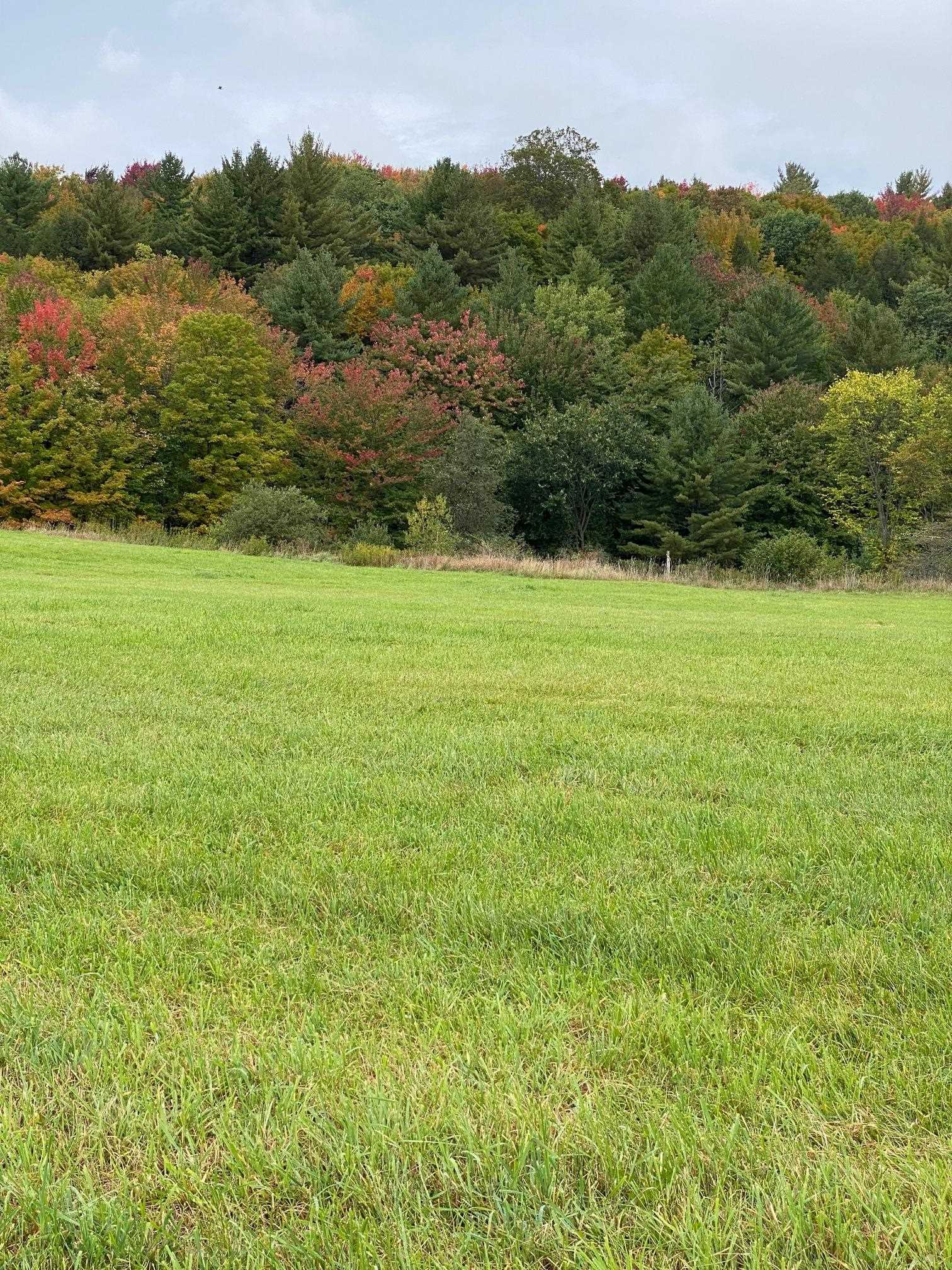 Lot 1 Sheldon Woods Road Sheldon, VT 05483 - Photo 7 of 15