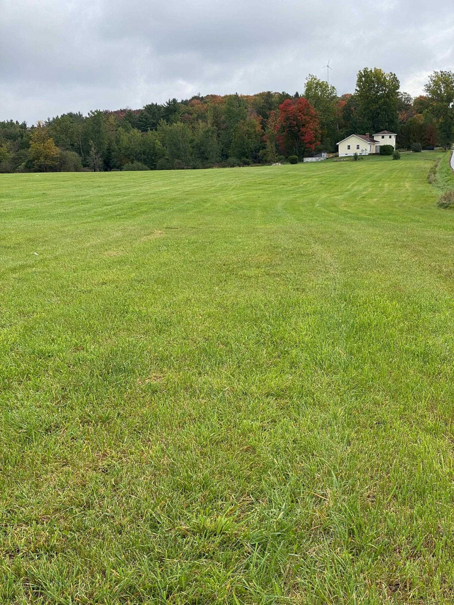Lot 1 Sheldon Woods Road Sheldon, VT 05483 - Photo 9 of 15