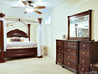 32230 Teney Hollow Road Brighton, IL 62012 - Photo 23 of 29