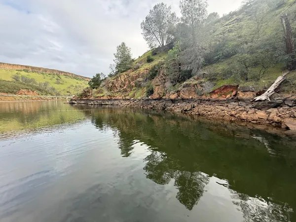 a view of a lake in middle of the forest