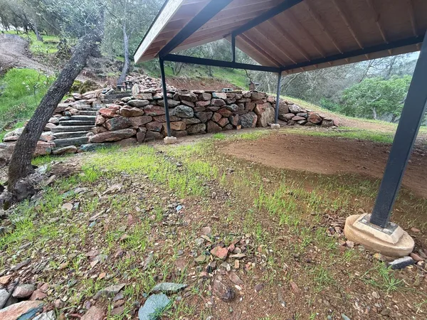 a view of a yard with an tree