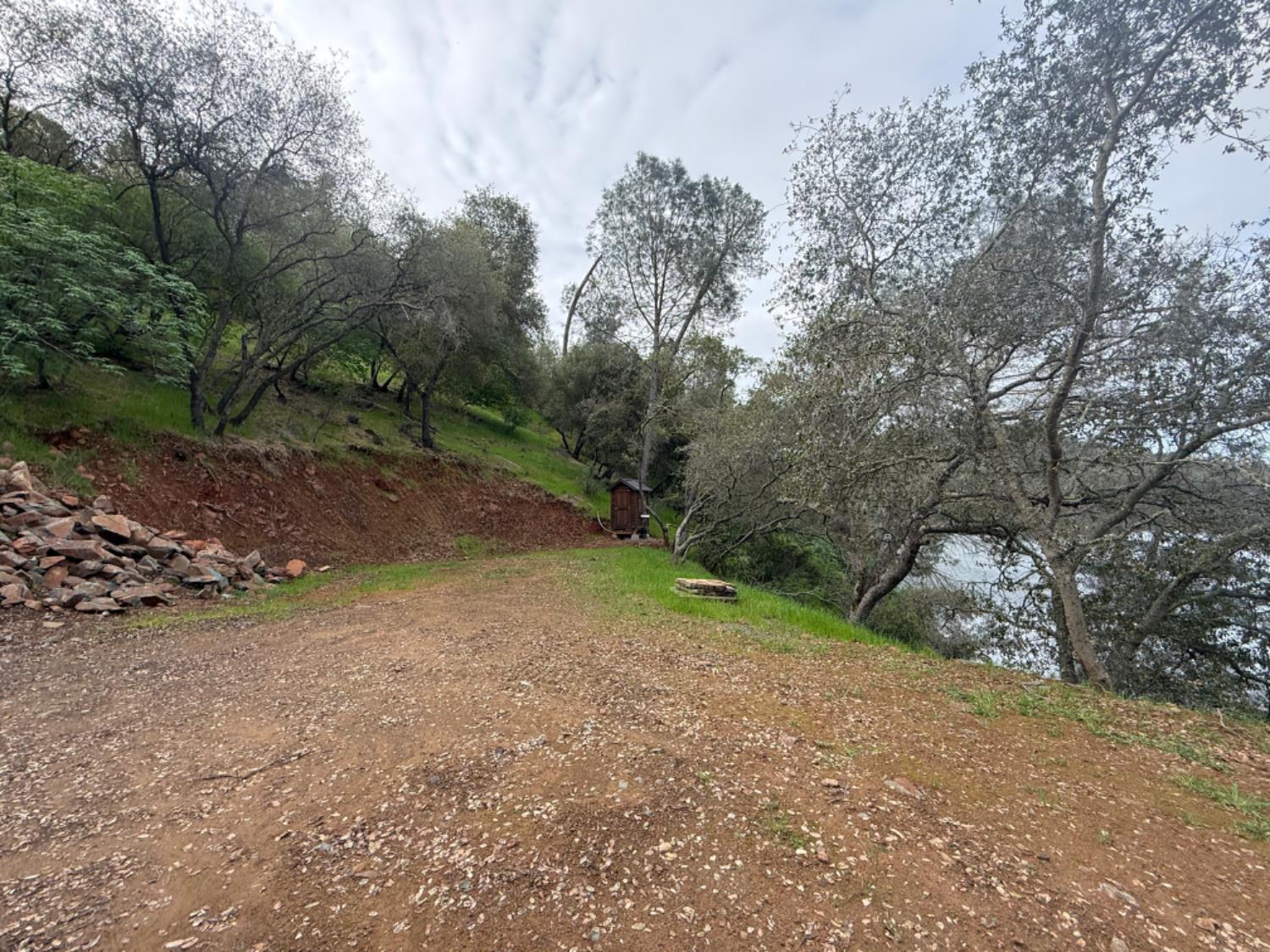 15000 Old O'Byrnes Ferry Road Jamestown, CA 95327 - Photo 43 of 62 a view of a yard with a tree
