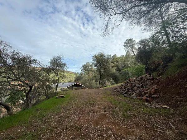 a view of a yard with a tree