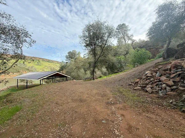 a view of a yard with a tree