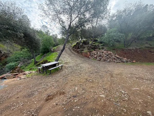 a view of outdoor space with large trees