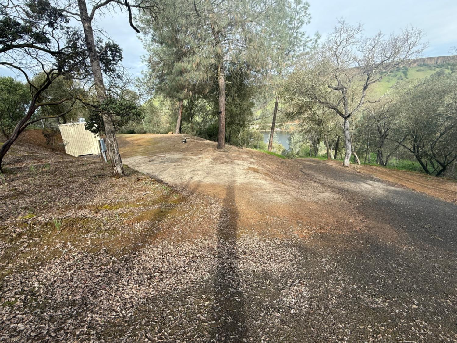 15000 Old O'Byrnes Ferry Road Jamestown, CA 95327 - Photo 58 of 62 a view of a yard with a tree