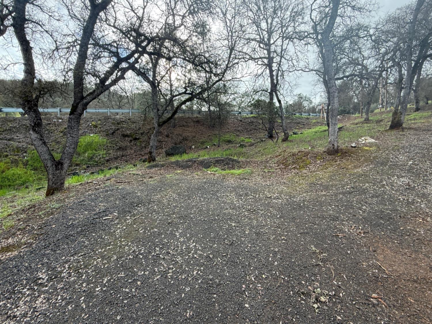 15000 Old O'Byrnes Ferry Road Jamestown, CA 95327 - Photo 59 of 62 a view of outdoor space with large trees