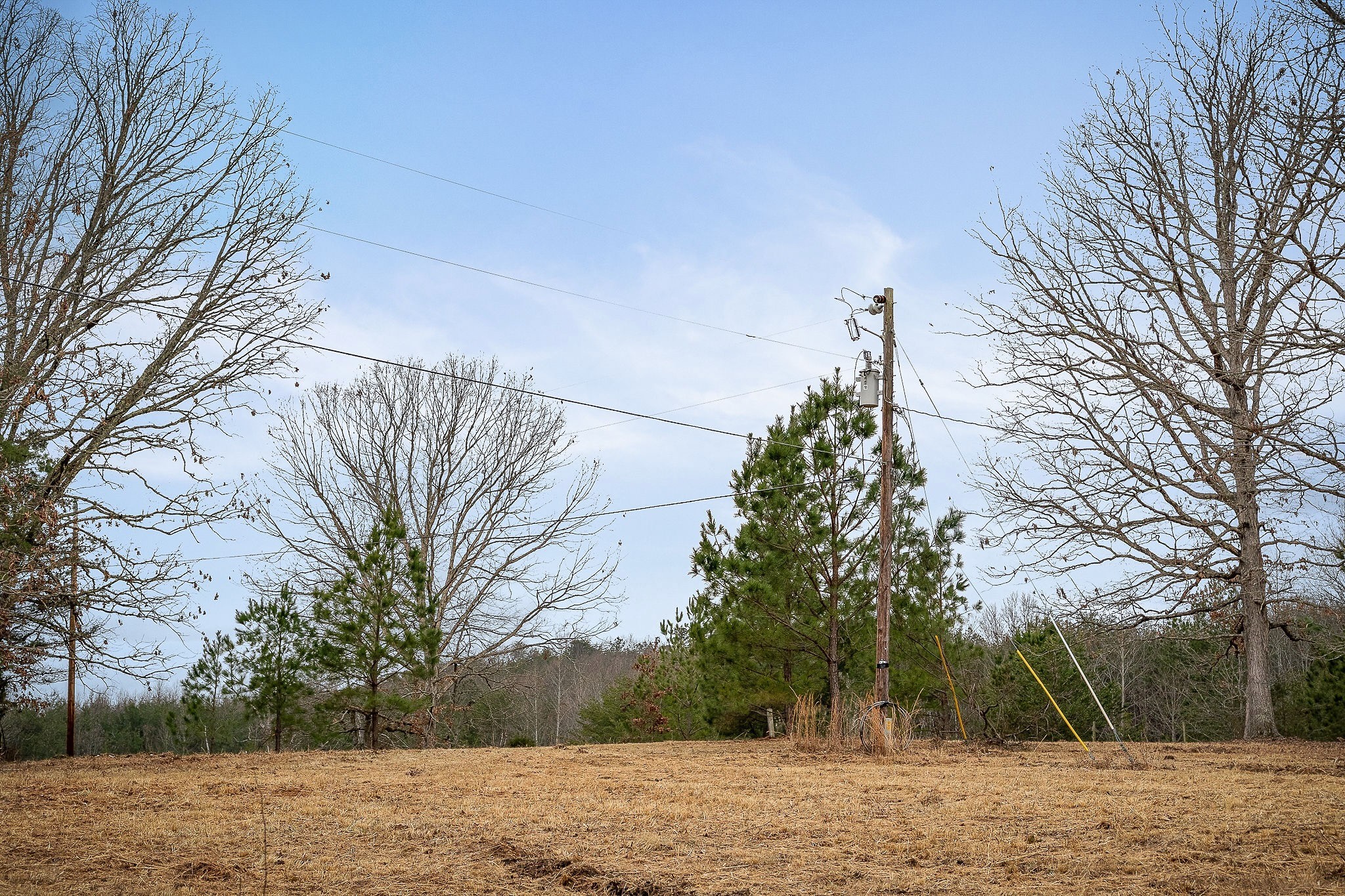 215 Edmonds Road Spencer, TN 38585 - Photo 2 of 9