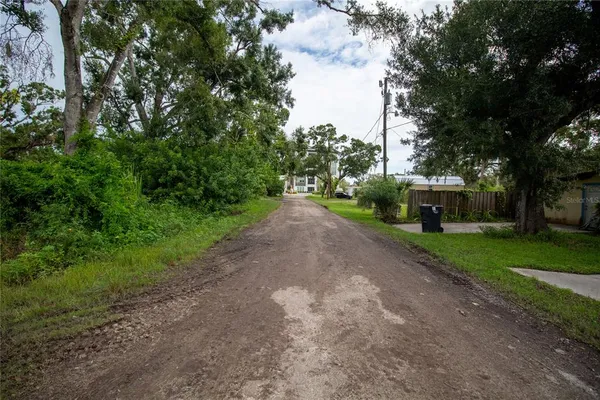 a view of road with large trees
