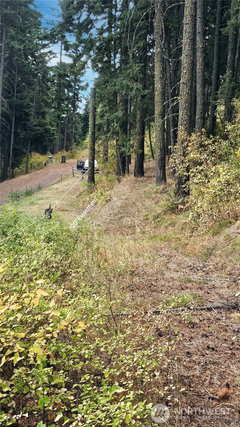 78 Skull Springs Road Cle Elum, WA 98922 - Photo 5 of 25