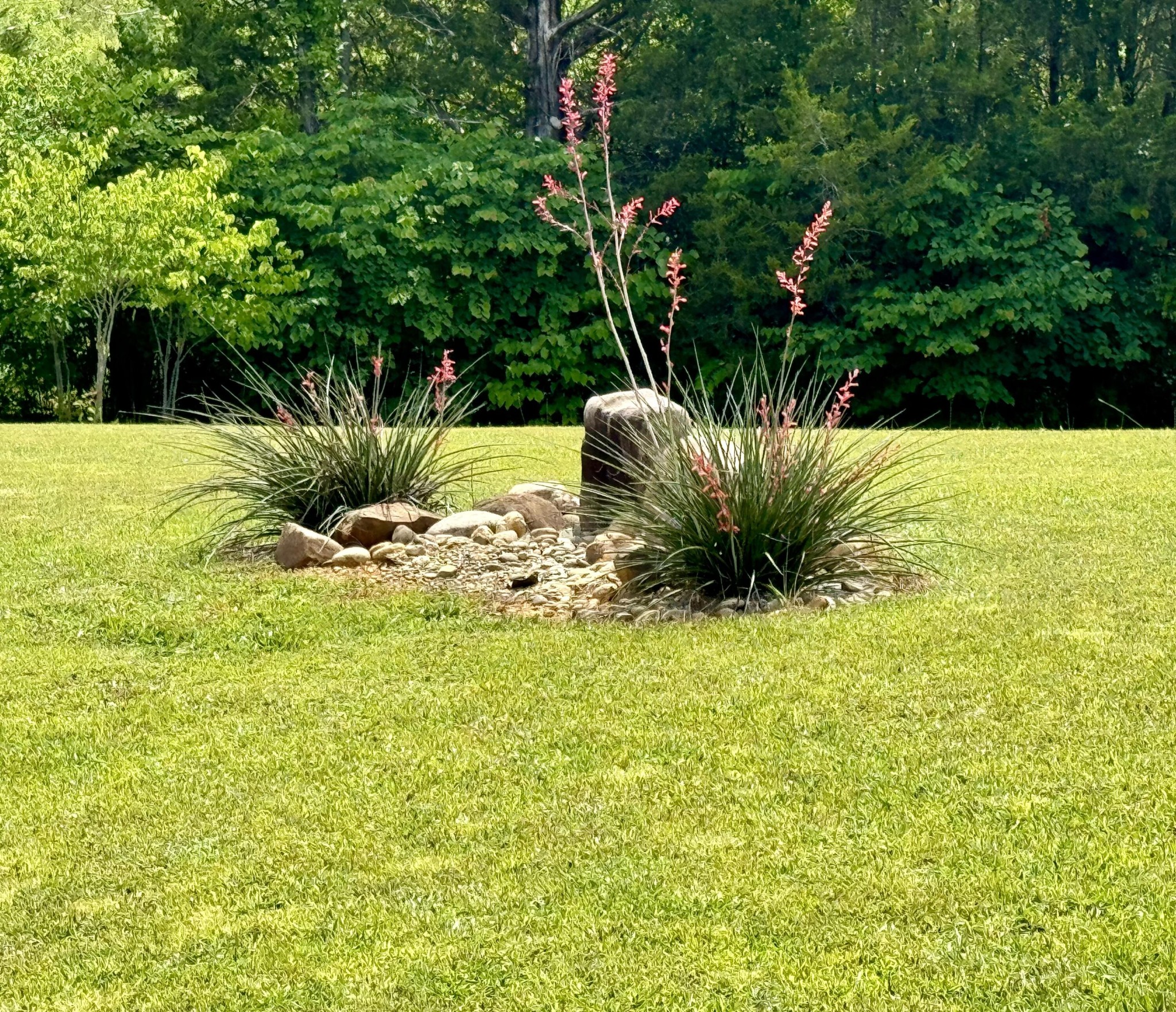 2236 Chestnut Hill Road Dandridge, TN 37725 - Photo 54 of 58 Gallery Image 54