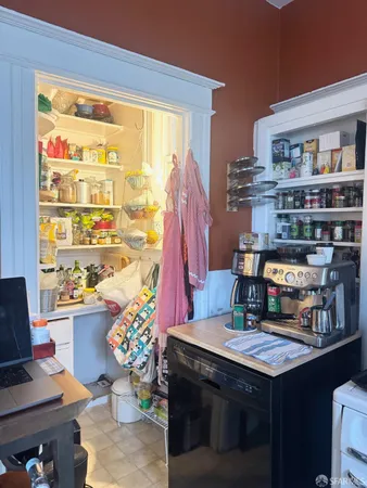 a kitchen with a stove a sink and a potted plant