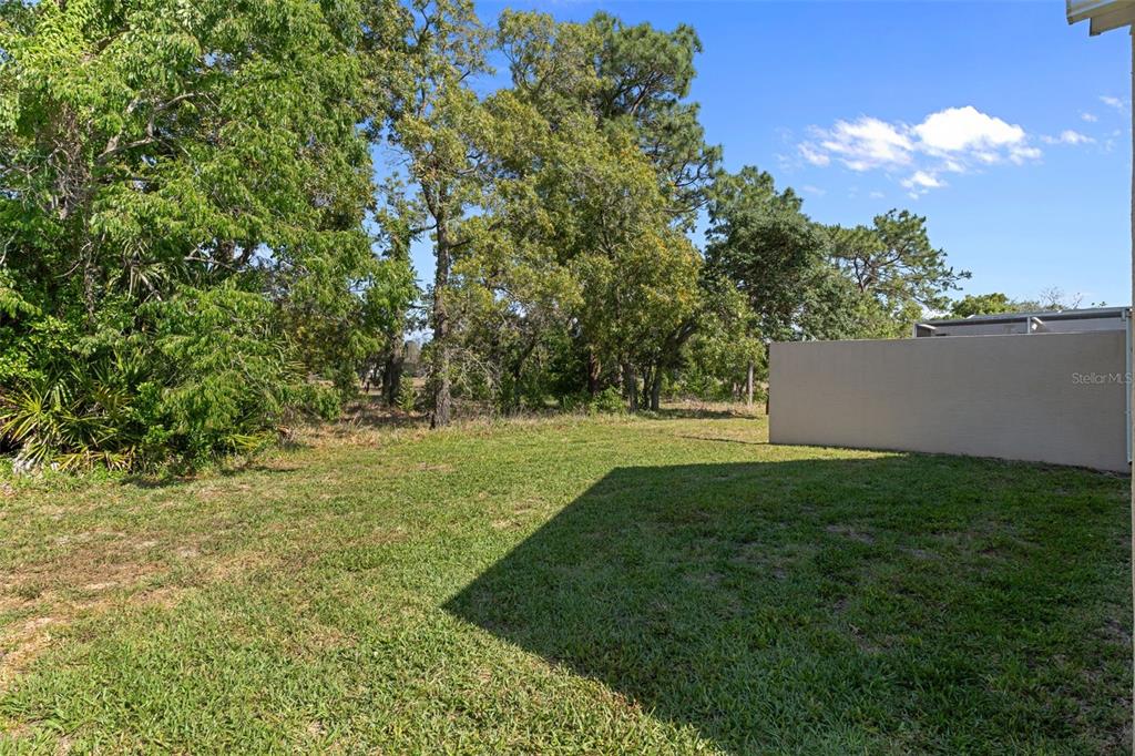 382 Royal Palm Way Spring Hill, FL 34608 - Photo 35 of 38