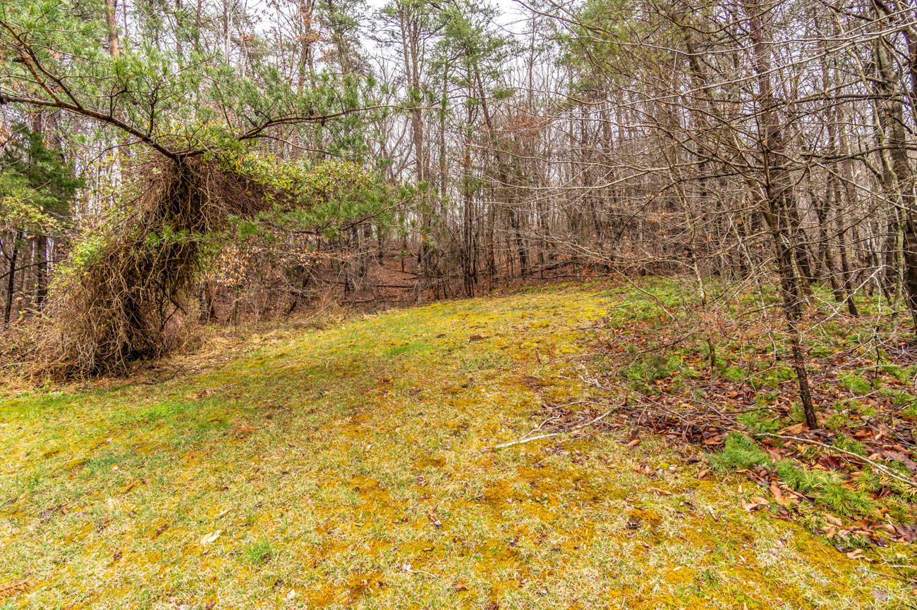 810 White Oak Road Irvine, KY 40336 - Photo 36 of 38 116