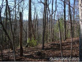 9999-4 Swanger Road, Unit 4 Asheville, NC 28805 - Photo 2 of 3 a view of a forest