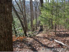 9999-4 Swanger Road, Unit 4 Asheville, NC 28805 - Photo 3 of 3 a view of a forest filled with trees