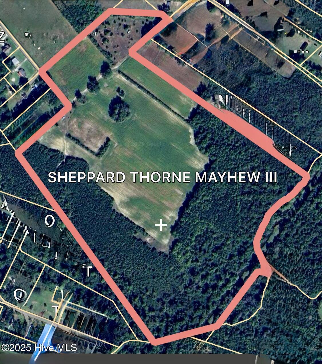 203 Lovick Lane Washington, NC 27889 - Photo 2 of 7 GIS