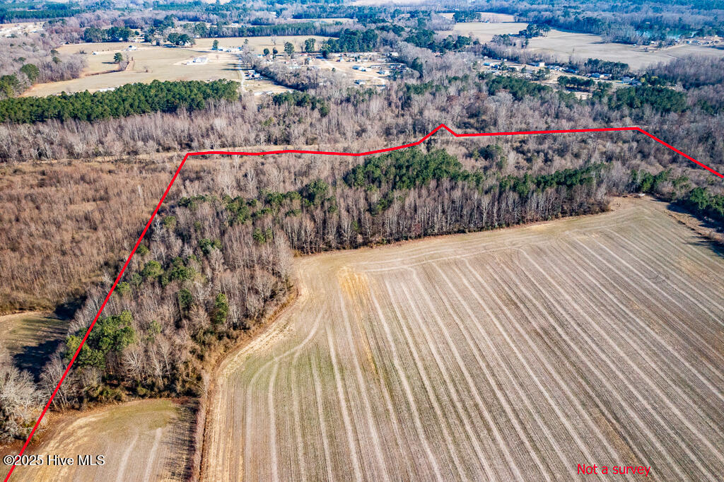 203 Lovick Lane Washington, NC 27889 - Photo 4 of 7 Pic 3