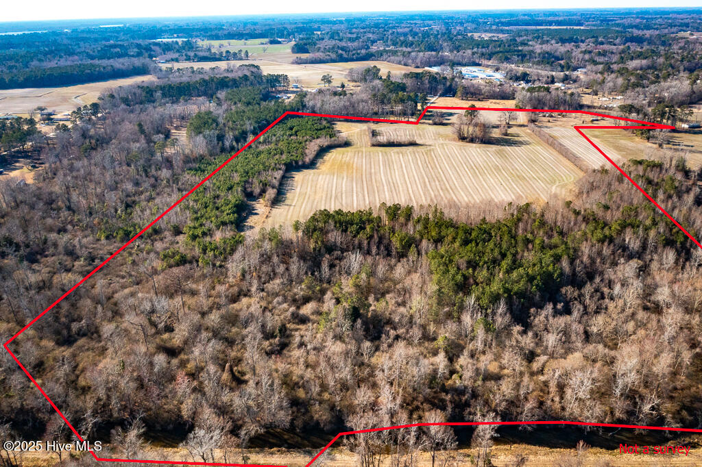 203 Lovick Lane Washington, NC 27889 - Photo 5 of 7 Pic 4