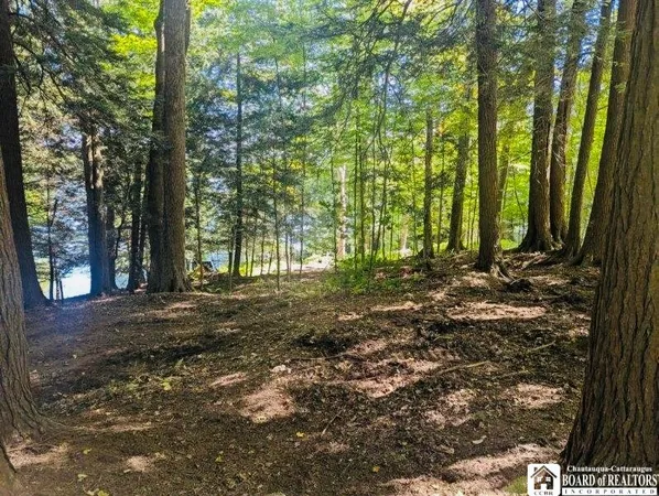 $275,000 | 2404 Shadyside Road, Mina, NY 14736