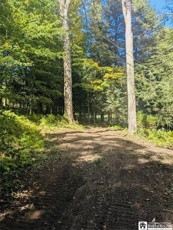 $275,000 | 2404 Shadyside Road, Mina, NY 14736