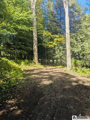 $275,000 | 2404 Shadyside Road, Mina, NY 14736