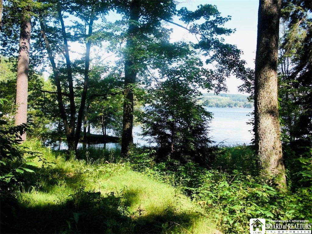 2404 Shadyside Road Mina, NY 14736 - Photo 7 of 15