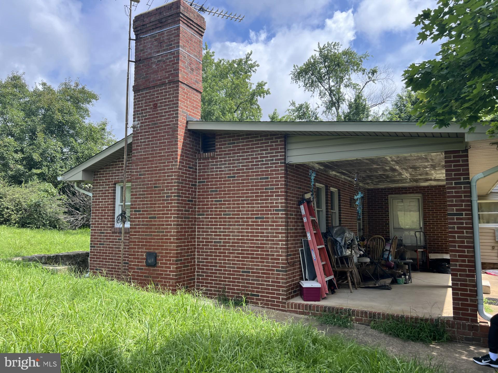 9358 Scotts Mountain Road Culpeper, VA 22701 - Photo 2 of 3 a view of a backyard with plants and a large tree