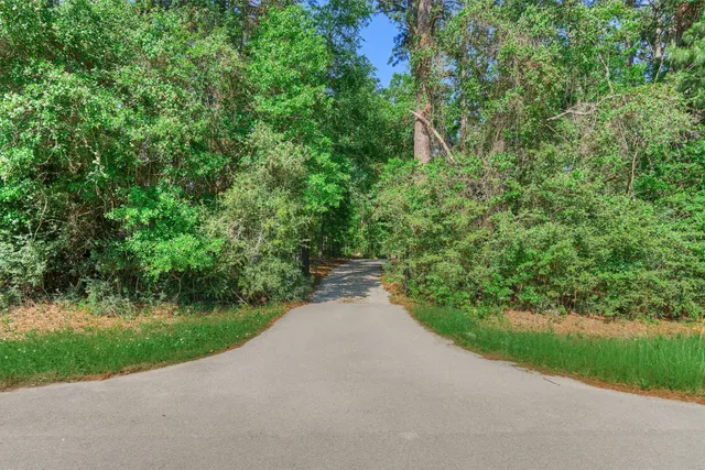 a view of a road with a yard and large trees