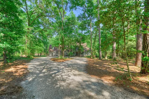 a view of a yard with large trees