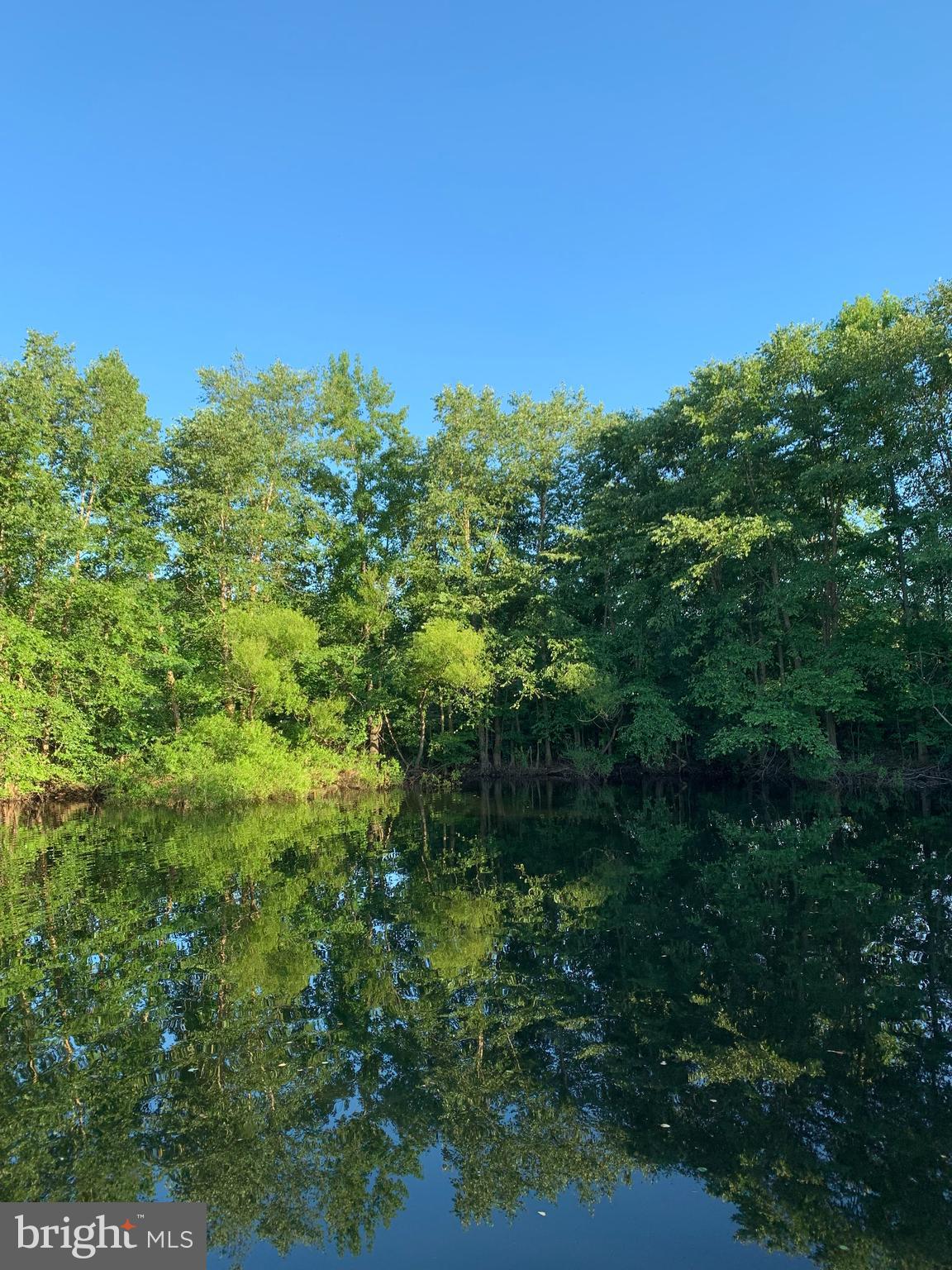 23741 Solitude Drive Henderson, MD 21640 - Photo 39 of 52