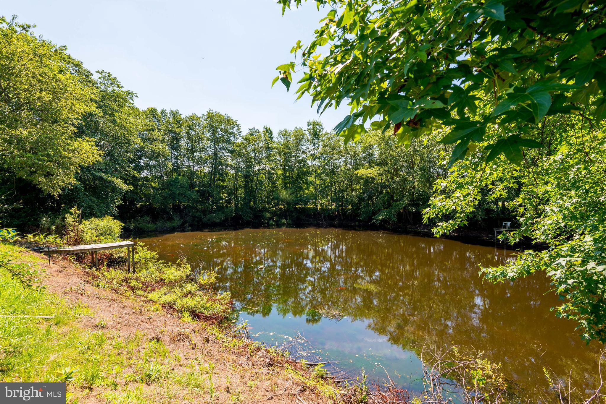 23741 Solitude Drive Henderson, MD 21640 - Photo 41 of 52