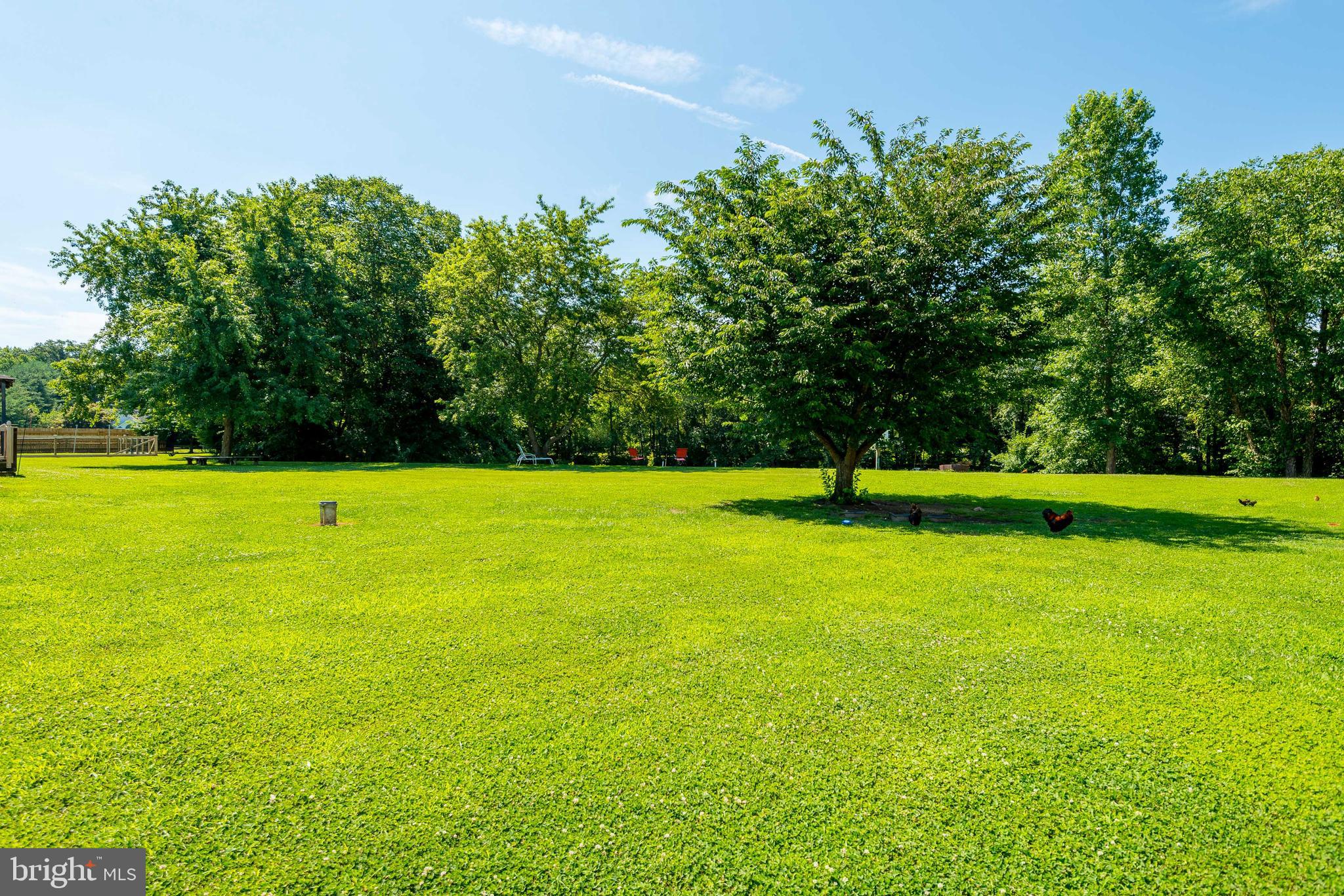 23741 Solitude Drive Henderson, MD 21640 - Photo 47 of 52