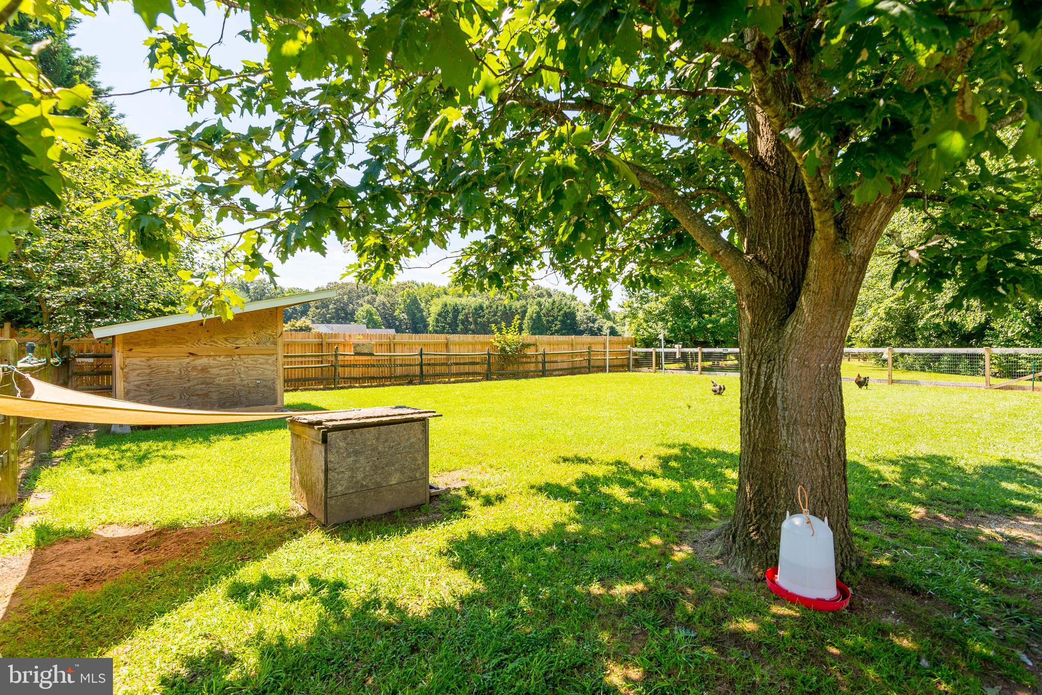 23741 Solitude Drive Henderson, MD 21640 - Photo 49 of 52