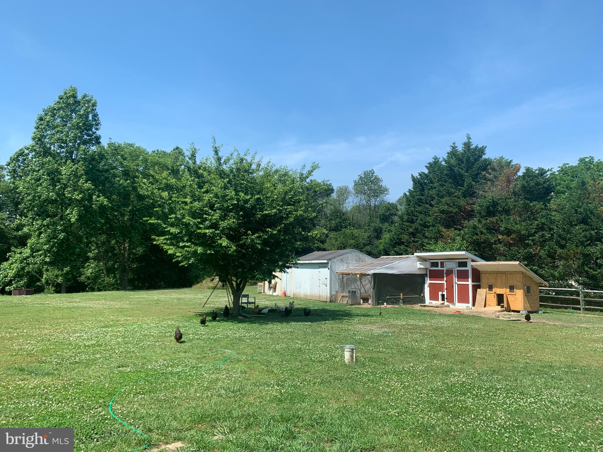 23741 Solitude Drive Henderson, MD 21640 - Photo 51 of 52