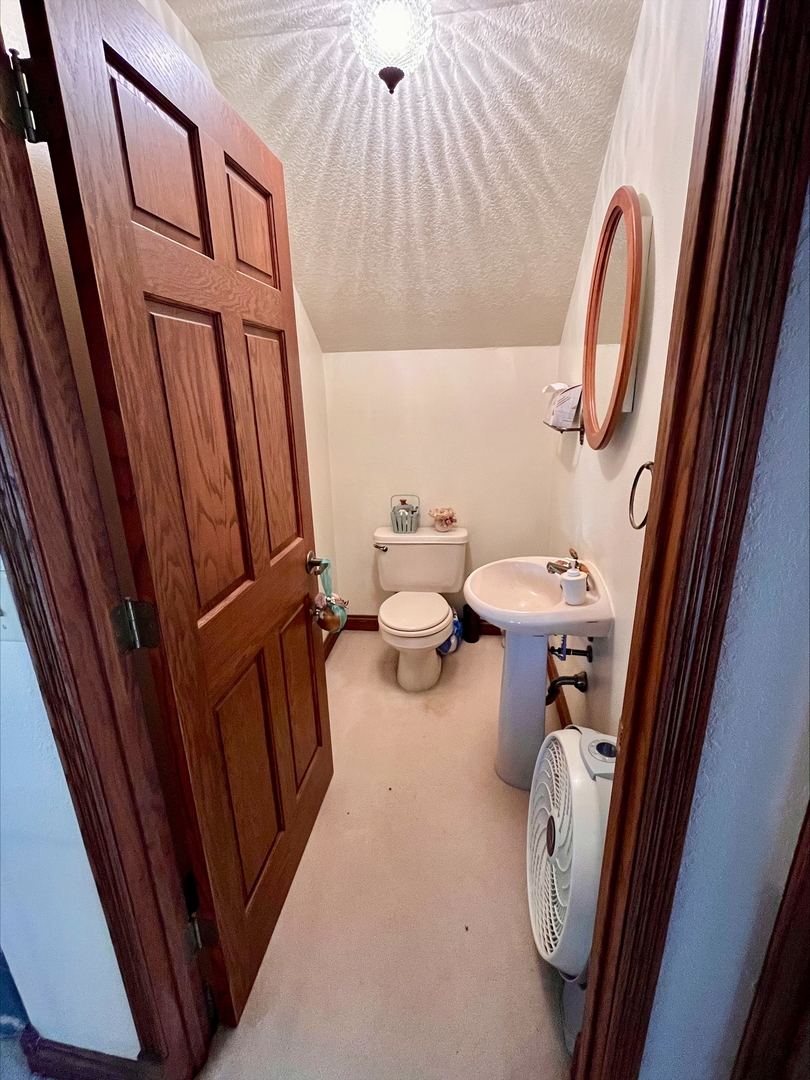 1116 East 2300 North Road Danforth, IL 60930 - Photo 29 of 32 a bathroom with a sink and a toilet