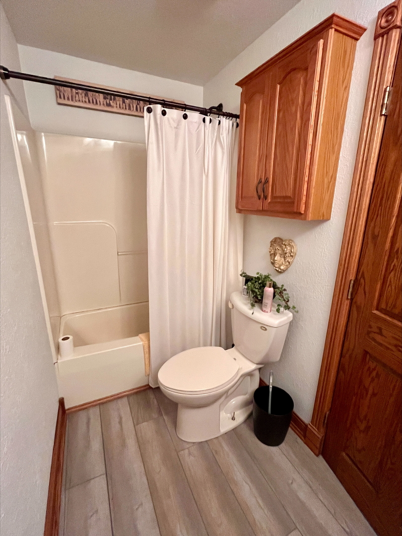 1116 East 2300 North Road Danforth, IL 60930 - Photo 30 of 32 a bathroom with a sink toilet and shower