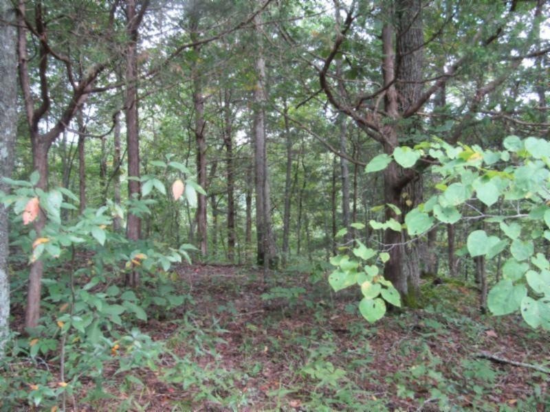 0 Malone Road Nunnelly, TN 37137 - Photo 1 of 1 Gallery Image 1