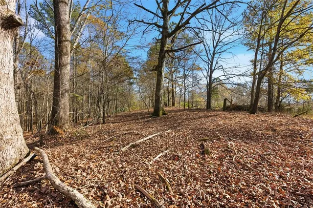 a view of a yard with lots of bushes