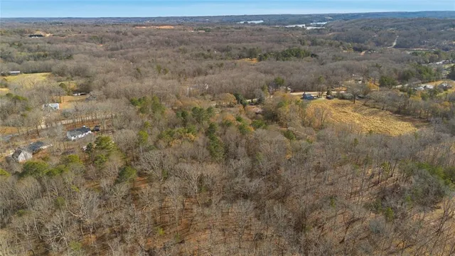 a view of a yard with large trees