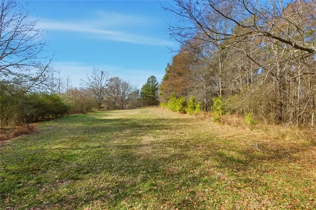 a view of backyard with green space