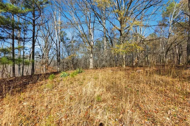 a view of a yard with large trees