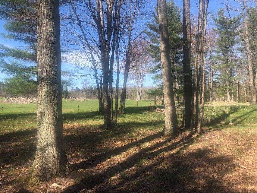 5012 Swihart Road Brethren, MI 49619 - Photo 40 of 59 1889679-39.JPG