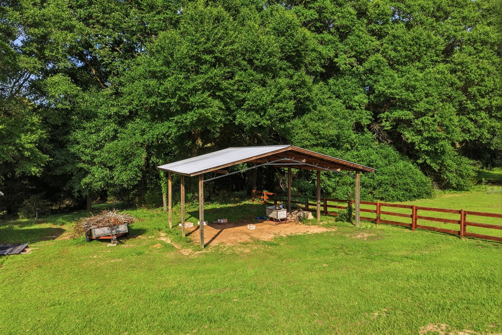 344 Hidden Springs Road Midland City, AL 36350 - Photo 62 of 64