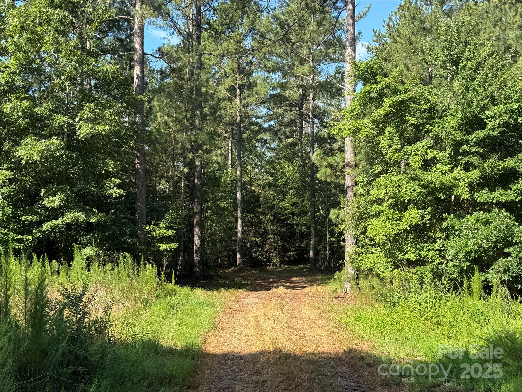 0 Hayes Mill Road, Unit TRACT A2 Granite Falls, NC 28630 - Photo 11 of 18